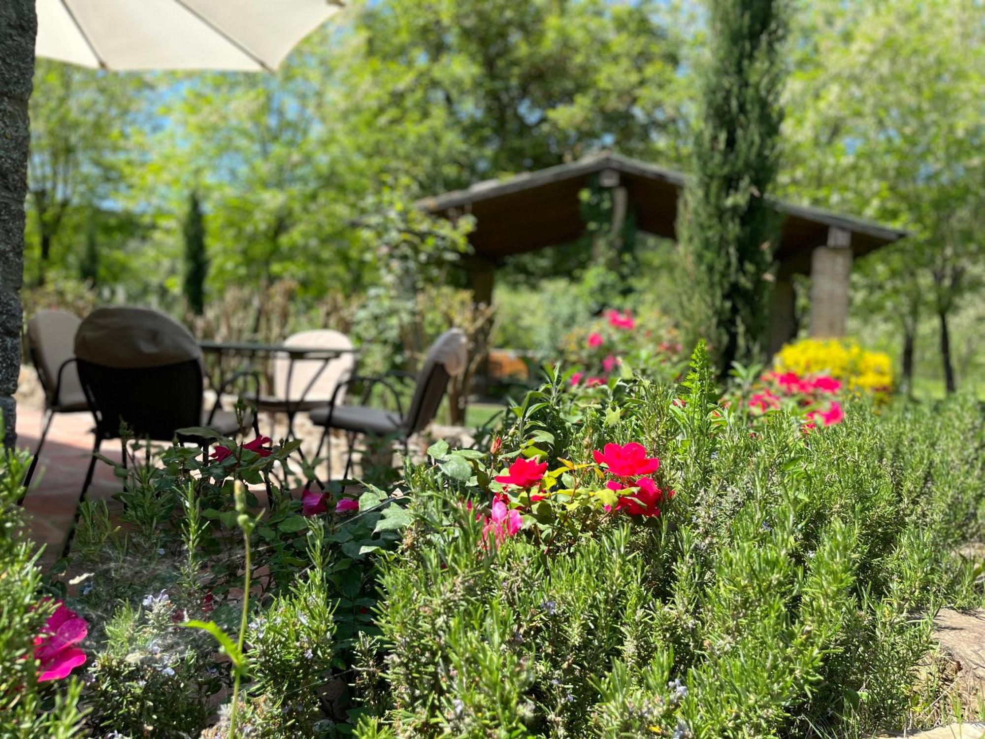 Mulino In Chianti Apartment กาโยเล อิน เคียนติ ภายนอก รูปภาพ