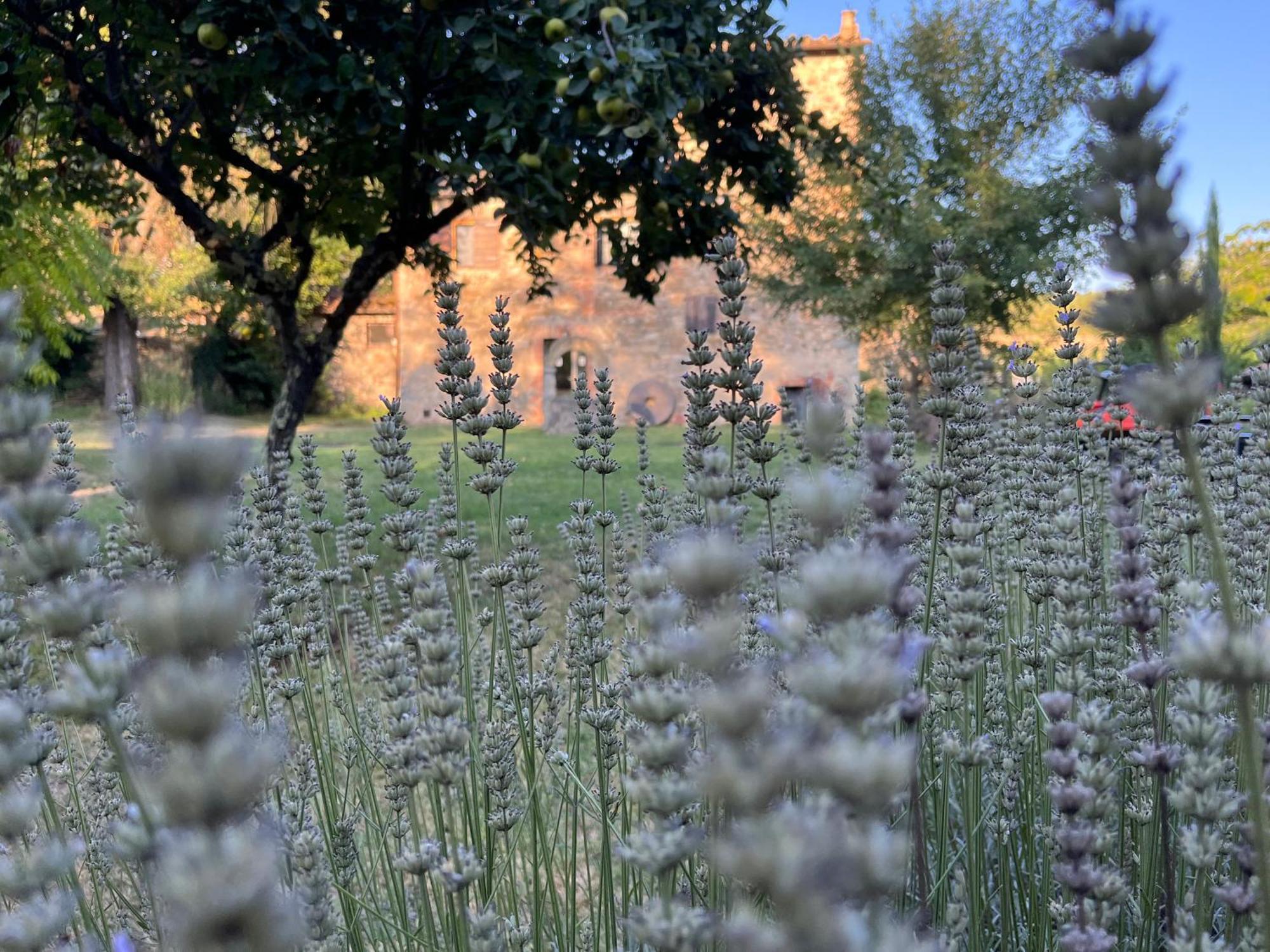 Mulino In Chianti Apartment กาโยเล อิน เคียนติ ภายนอก รูปภาพ