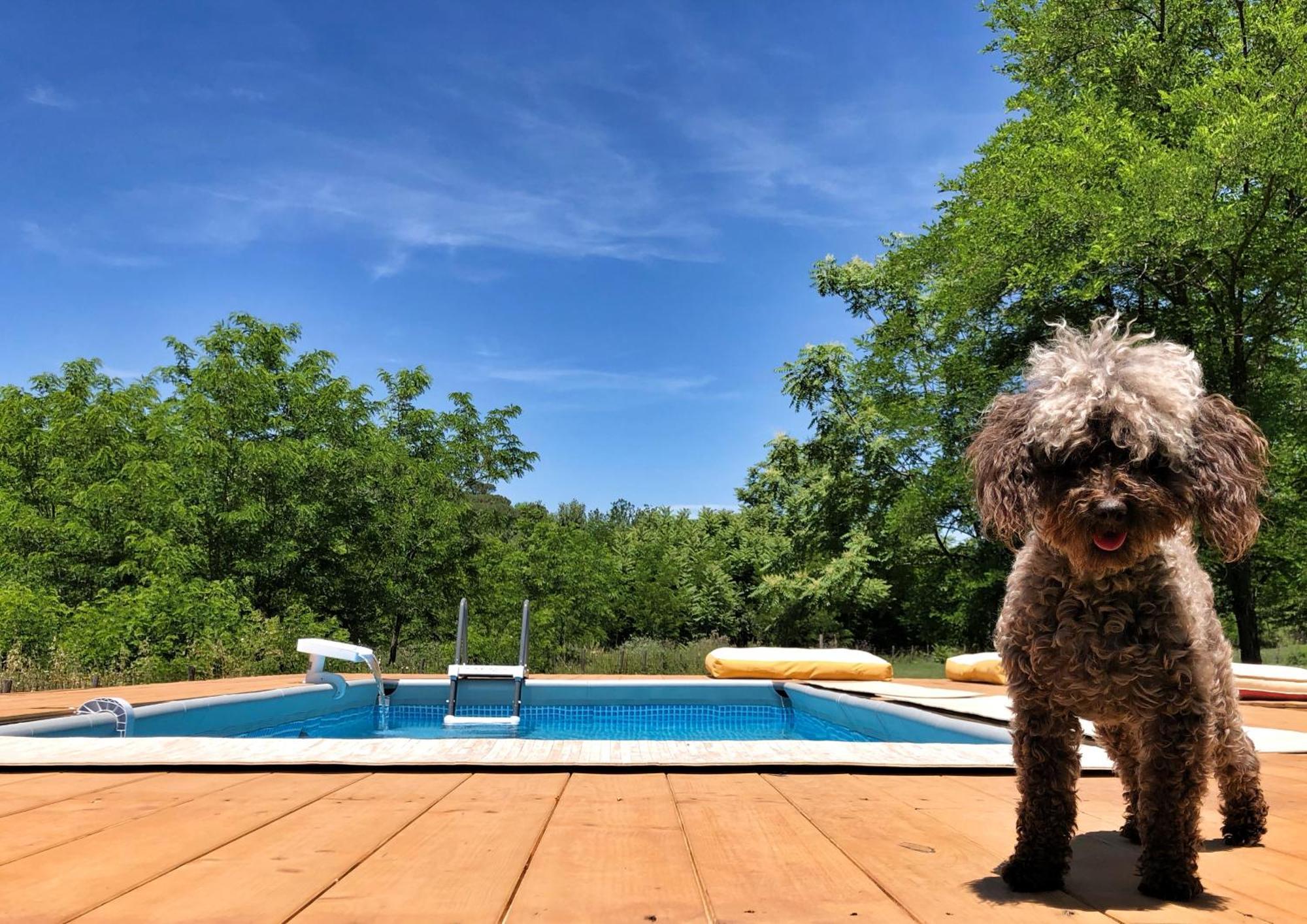Mulino In Chianti Apartment กาโยเล อิน เคียนติ ภายนอก รูปภาพ